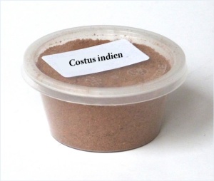 Costus indien en poudre - 100g